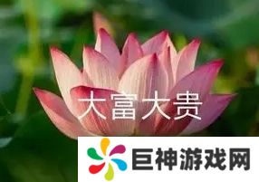 花开富贵是什么梗网络用语-花开富贵梗意思及出处分享