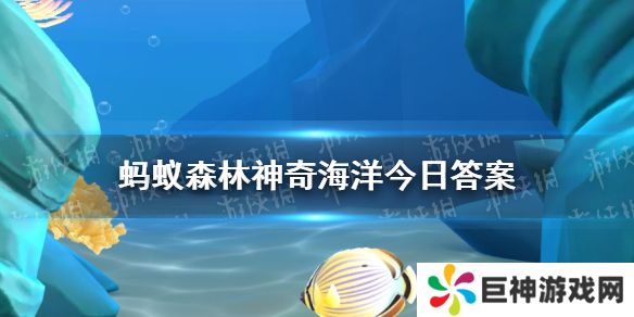 被称为海洋生物大熔炉的旅行胜地是哪里  神奇海洋11月19日答案最新